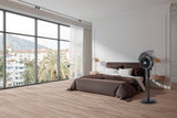 Kenwood - Digital Circulation Fan - IFP25.000BK - Kenwood South Africa