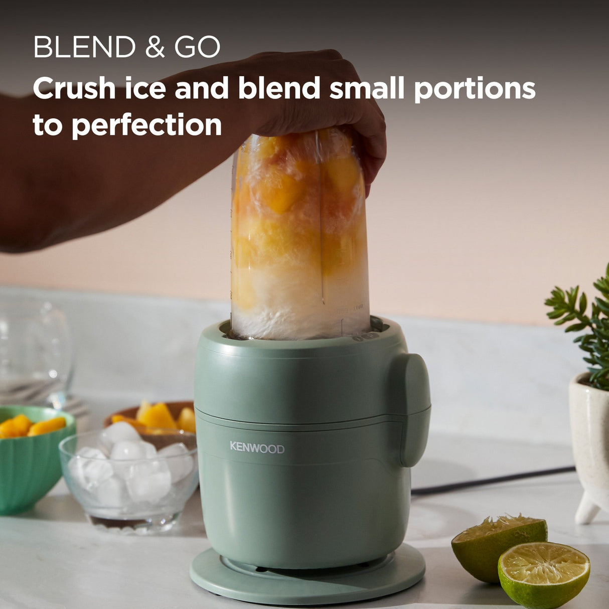Kenwood - Blend & Go Blender & Food Processor - FDP23.380GR - Kenwood South Africa