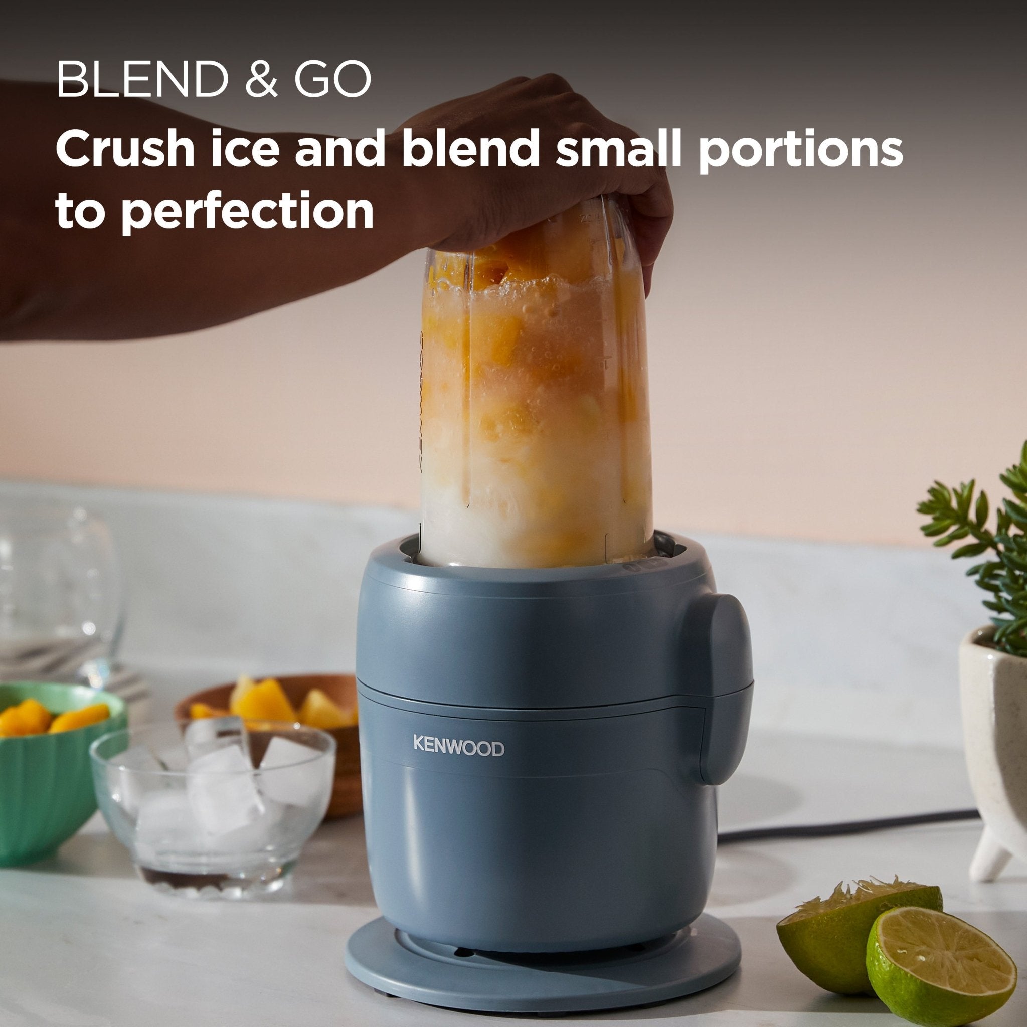 Kenwood - Blend & Go Blender & Food Processor - FDP23.380GY